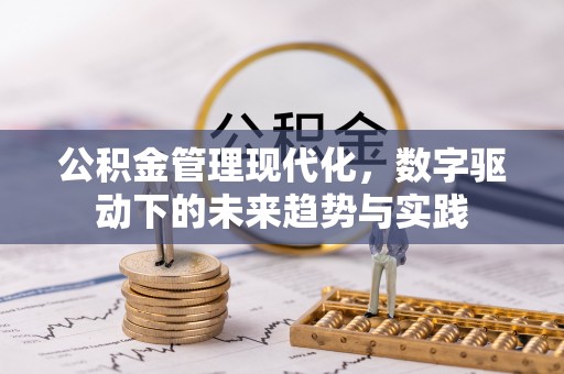 高雄公积金管理现代化，数字驱动下的未来趋势与实践