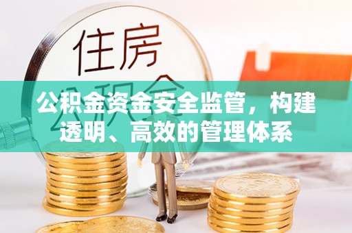 高雄公积金资金安全监管，构建透明、高效的管理体系