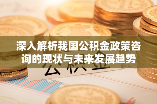 高雄深入解析我国公积金政策咨询的现状与未来发展趋势