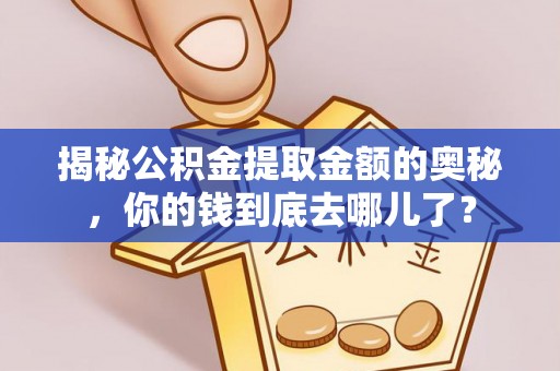 高雄揭秘公积金提取金额的奥秘，你的钱到底去哪儿了？
