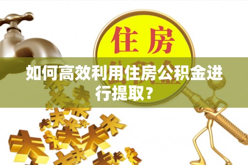 高雄如何高效利用住房公积金进行提取？