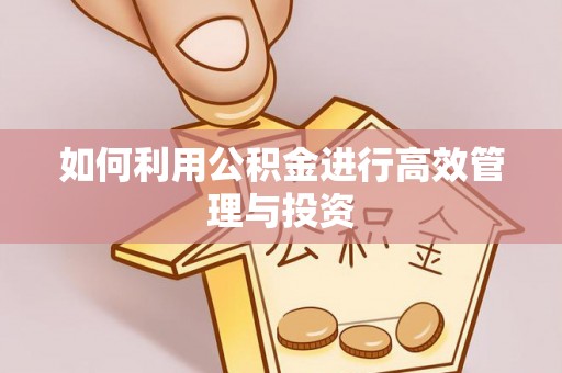 高雄如何利用公积金进行高效管理与投资